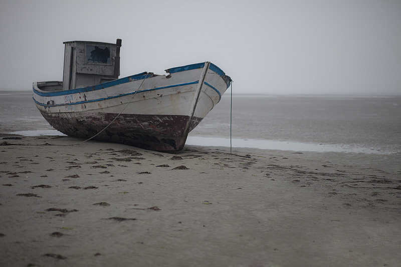 La fotografia in laguna