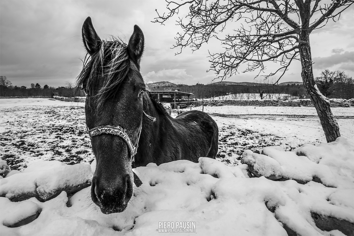 come fotografare a basse temperature