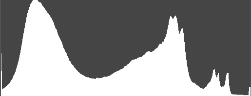 Problema di una Fotografia scura sulla neve