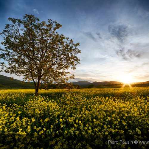 Toscana al tramonto